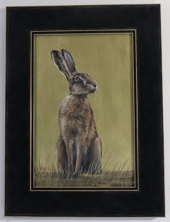 Golden Hare - Portrait II