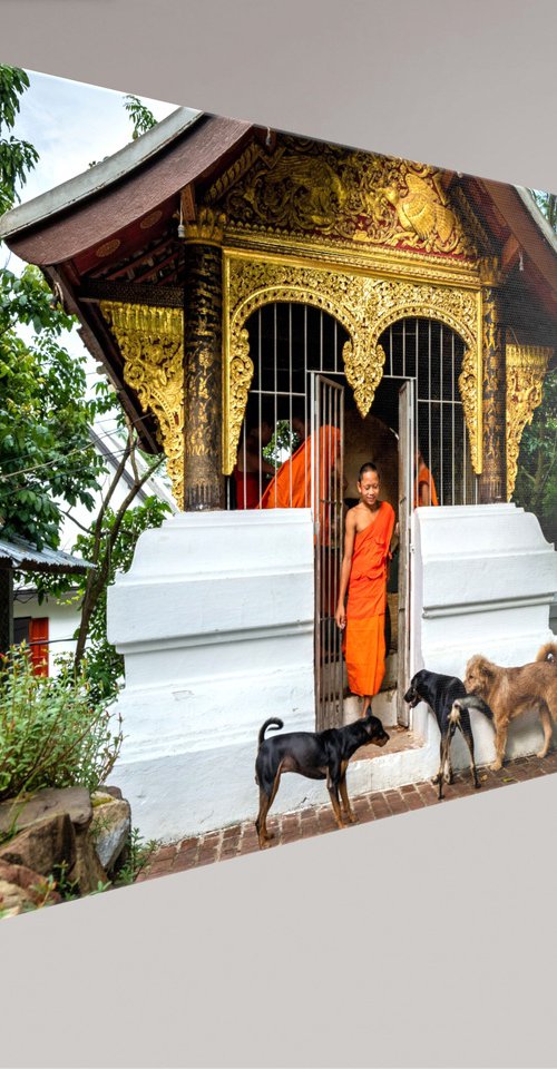 Temple Dogs of Laos No.1 by Serge Horta