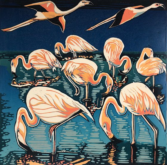 Flamingo Hours
