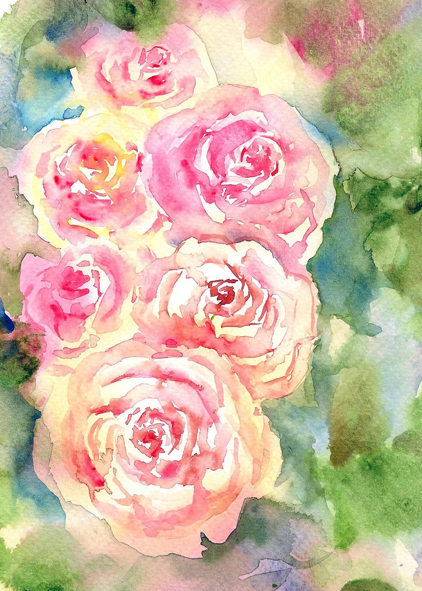 Pink English Roses in watercolors 10x 7 by Asha Shenoy