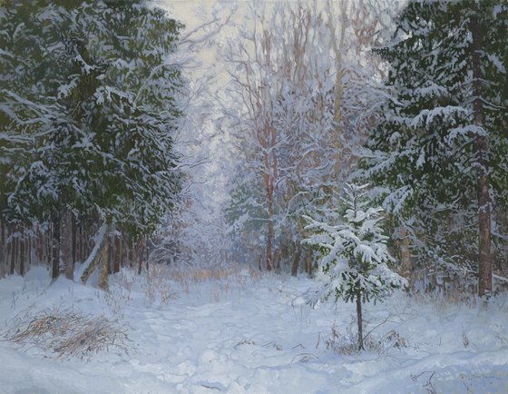 Winter forest