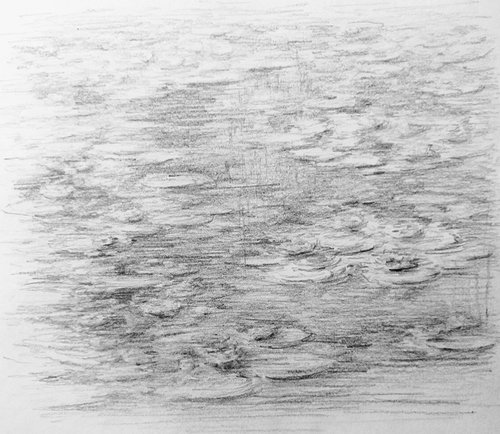 Water lilies. Sketch #1. Original pencil drawing. by Yury Klyan