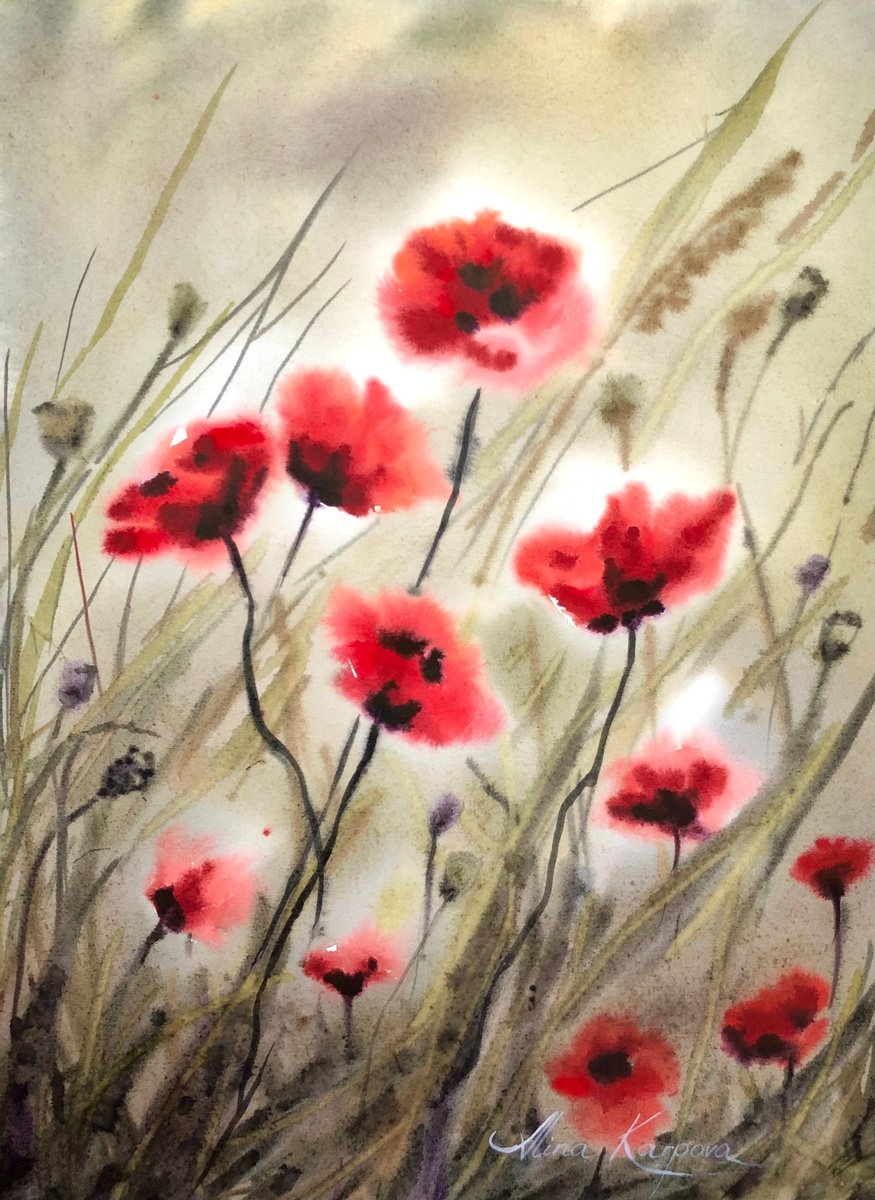Poppy meadow by Alina Karpova