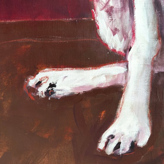 White Dog (Fleur-de-Lis)