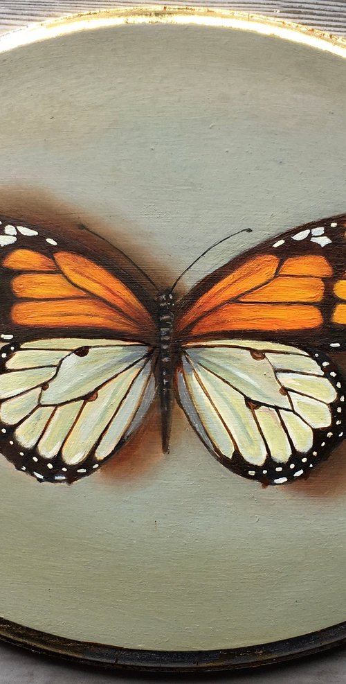 Butterfly IV by Priyanka Singh