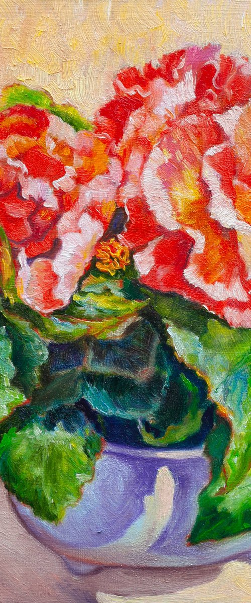Begonia by Liudmila Pisliakova