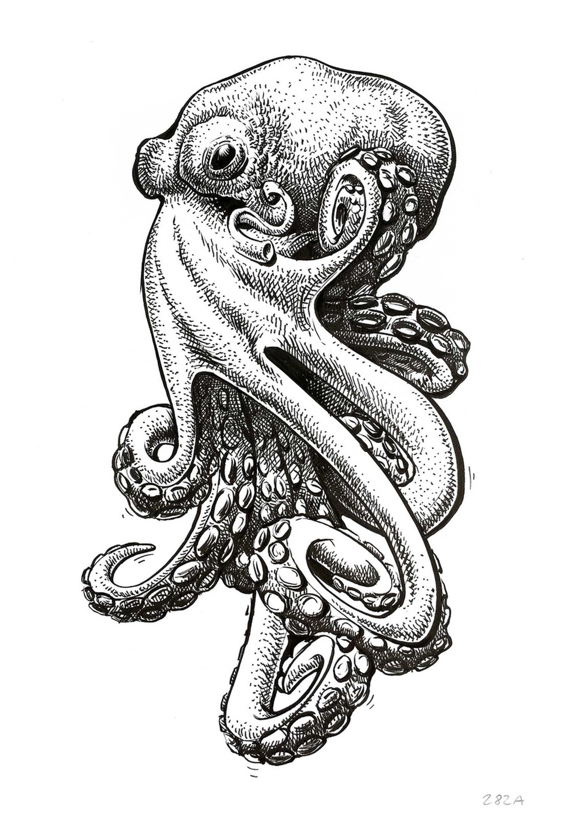 Un pulpito ••••#drawing #illustration #ink #octopus #watercolor