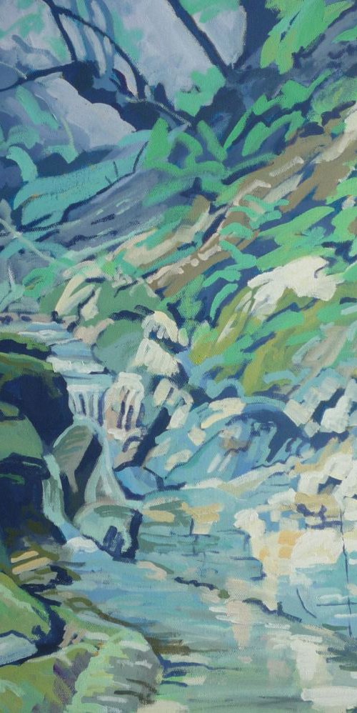 At the source of the river Avil, Exmoor by Bert Bruins