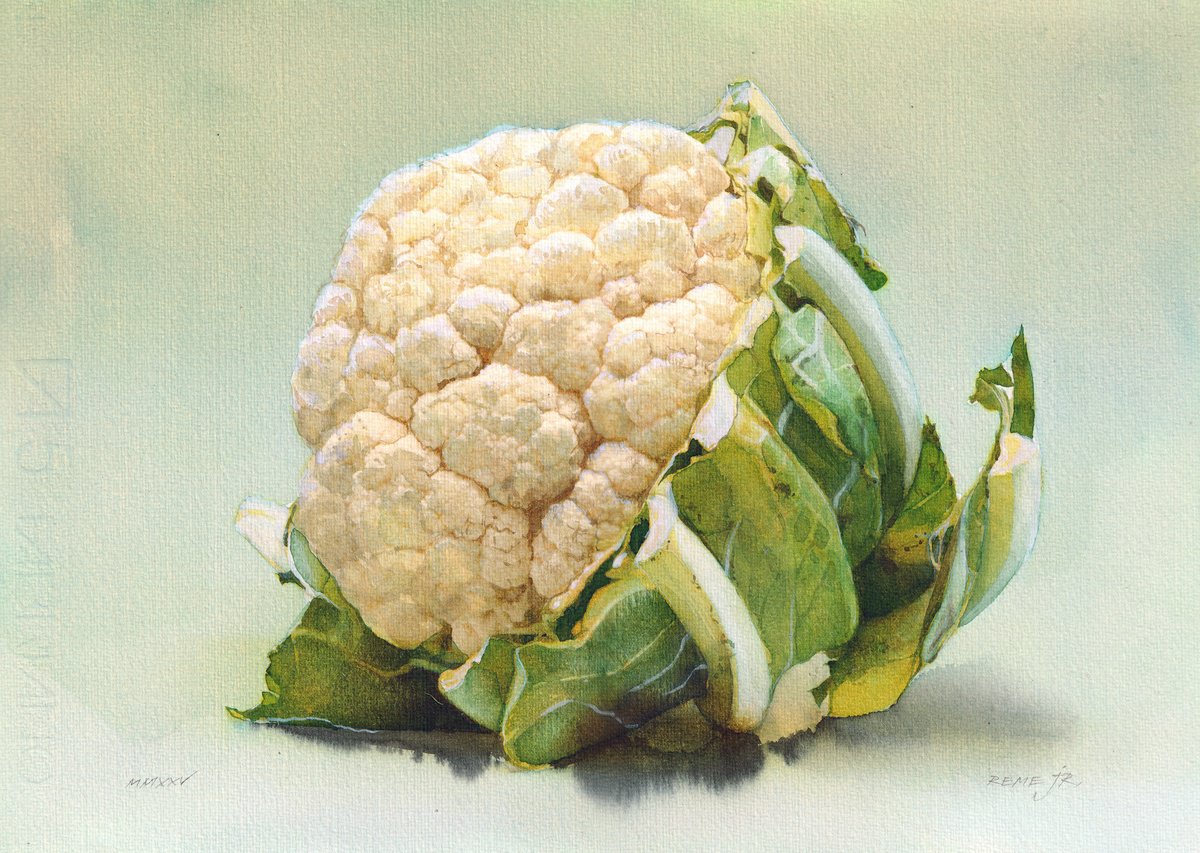Photorealistic Still Life Watercolour By Reme Jr., 14 X 10", Cauliflower, Original Artwork