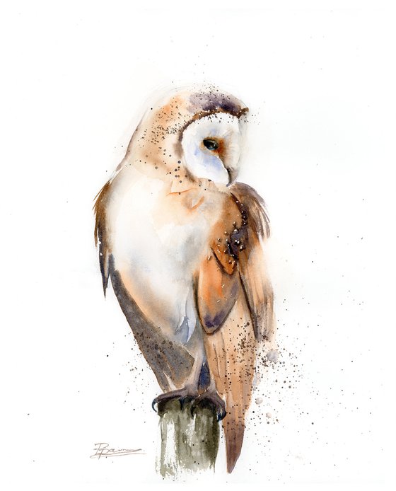 Barn Owl on the stump