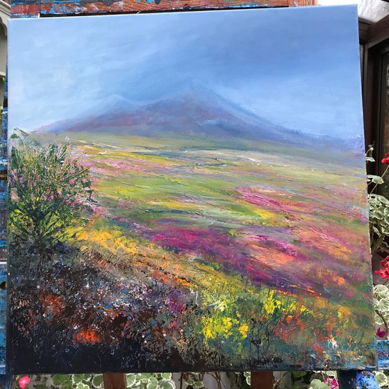 Dartmoor Colours