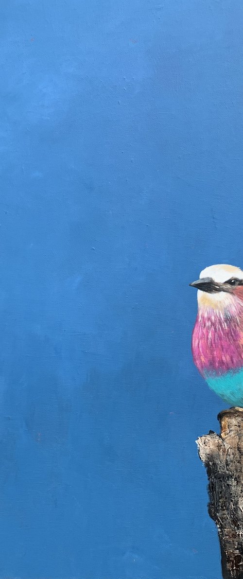 Lilac Breasted Roller ~ Under An African Sky by Laure Bury