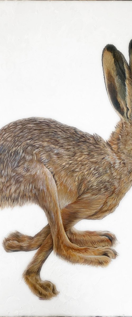 Hare 3 by Lydia Cunningham