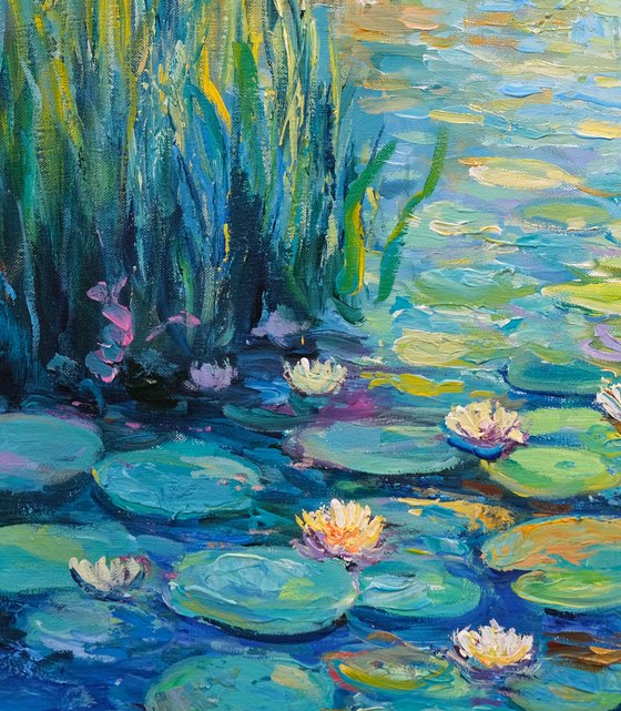 Serene Water Lily Pond