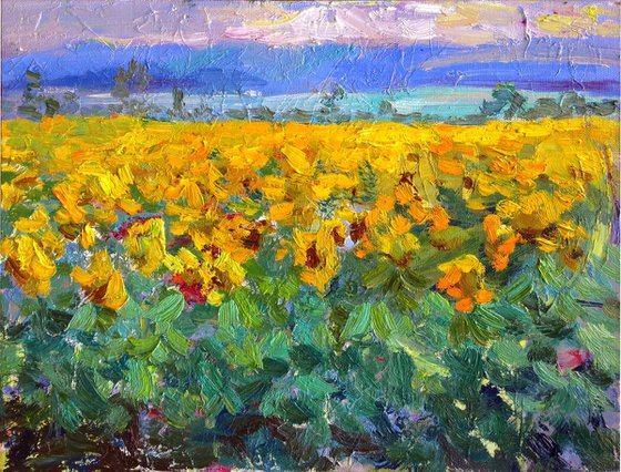 Evening sunflower field .  original oil painting modern