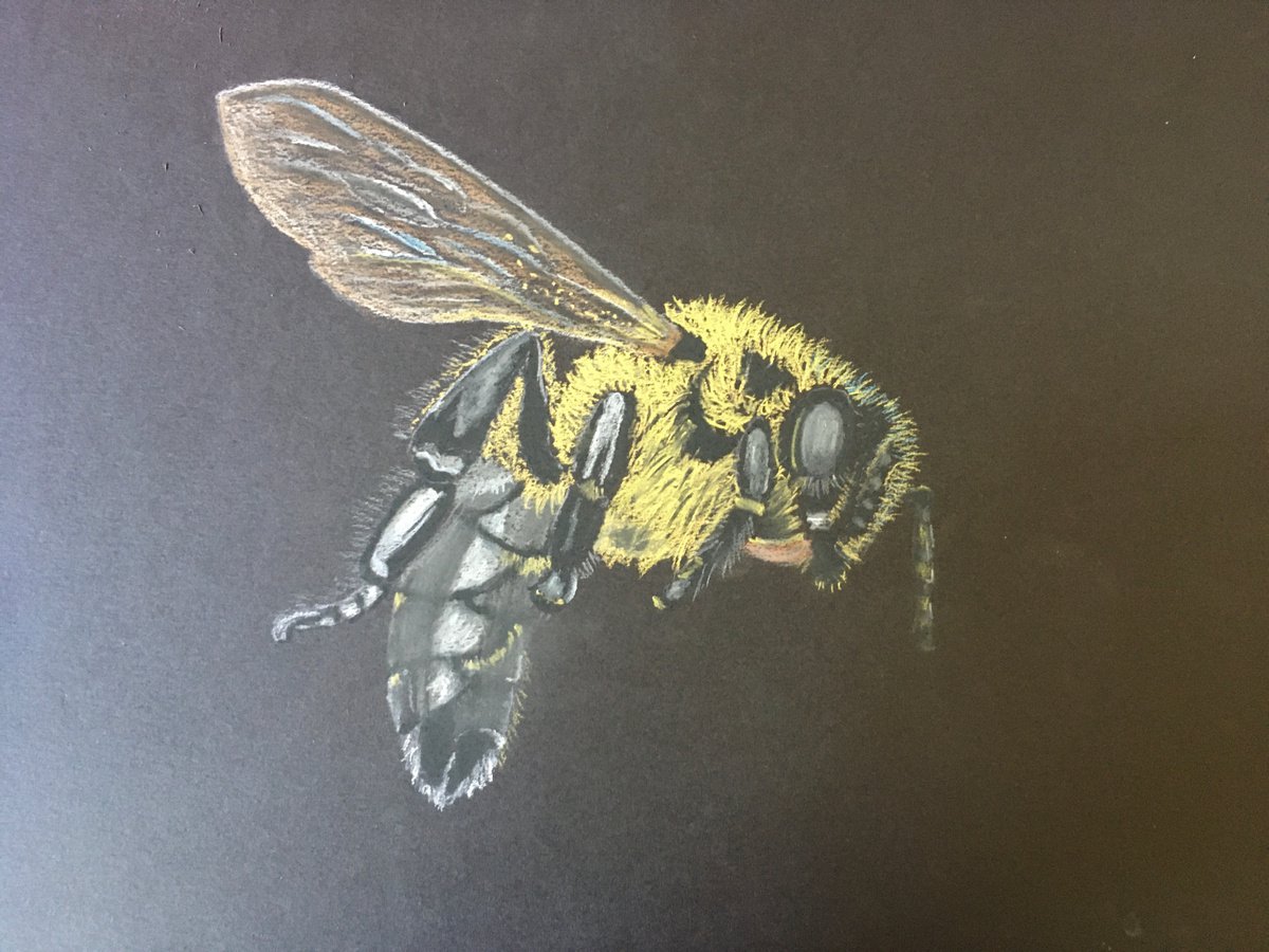 Bee by Ruth Searle