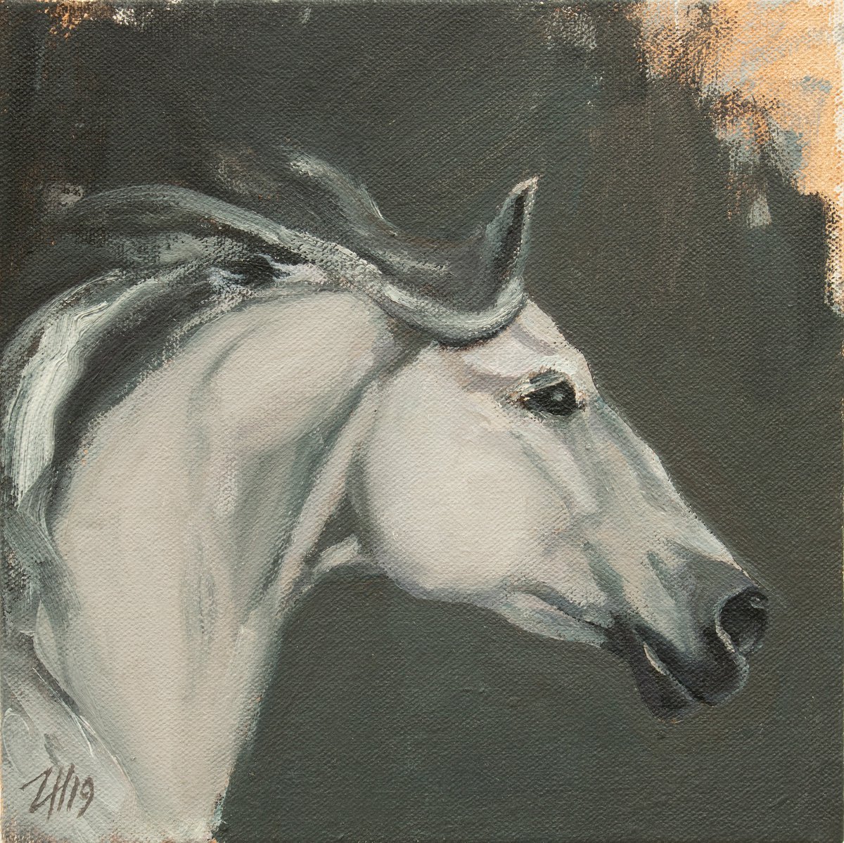 Family Equidae (study 13) by Zil Hoque