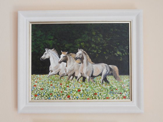 WHITE HORSES IN MEADOW