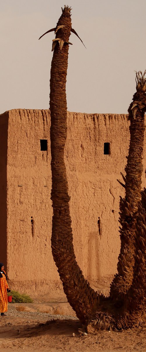 Maroc by Lionel Le Jeune