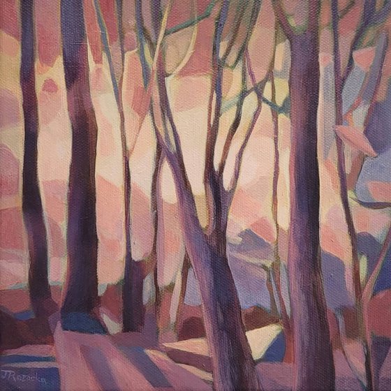 Forest Walk III