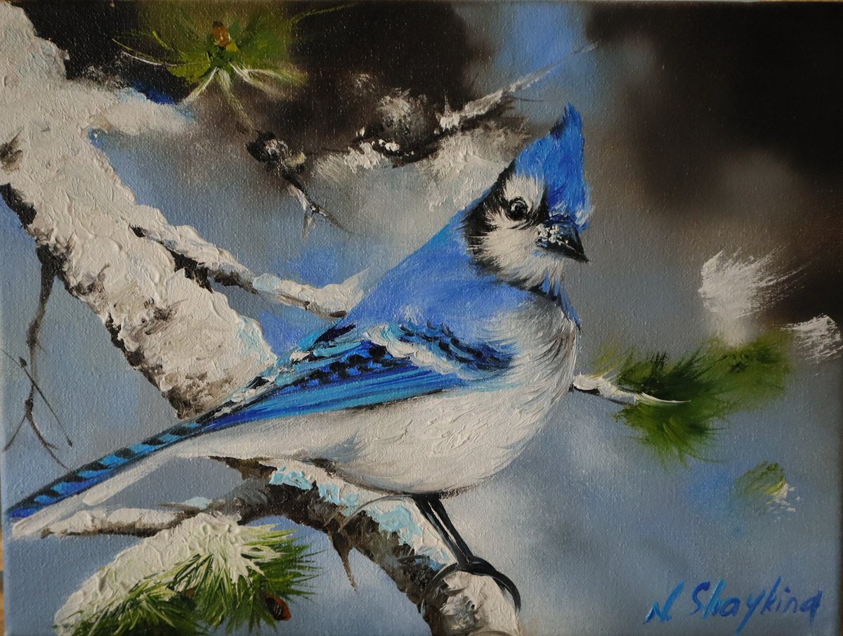 Photorealistic Animal Oil Painting By Natalia Shaykina, 9 X 7", Bright Blue Jay In Pine Tree, Original Artwork