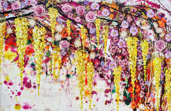 Study in Luminous Gravity