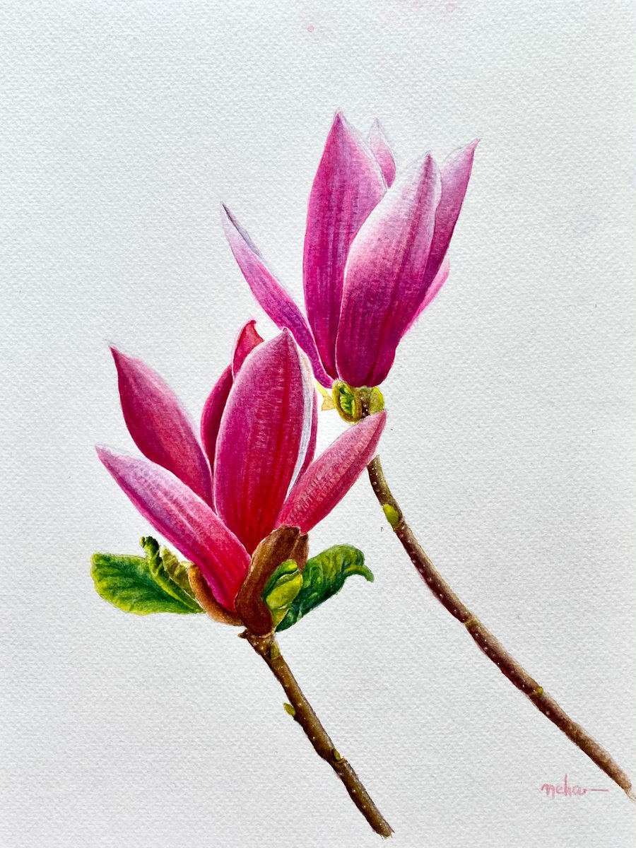 Magnolia (ii) by Neha Soni