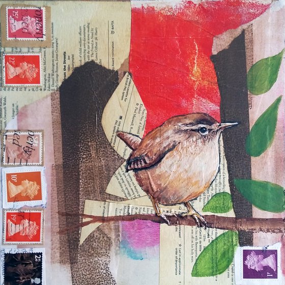 Wren - Ornithology#3