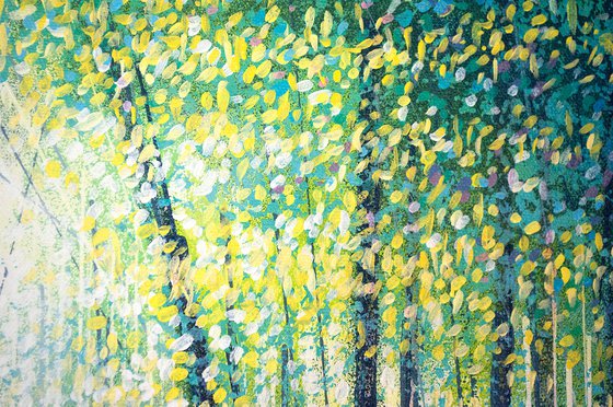 Spring Forest Trees