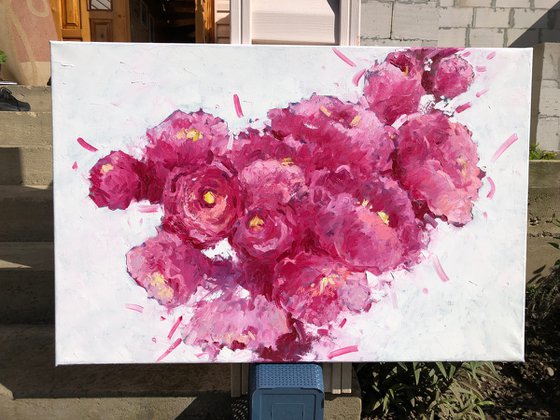 May peonies
