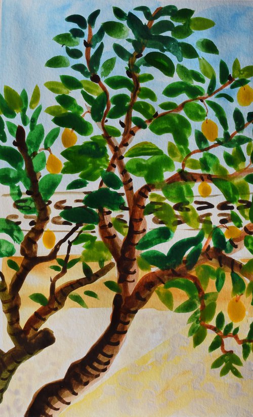 Lemon tree in Badia gardens by Kirsty Wain