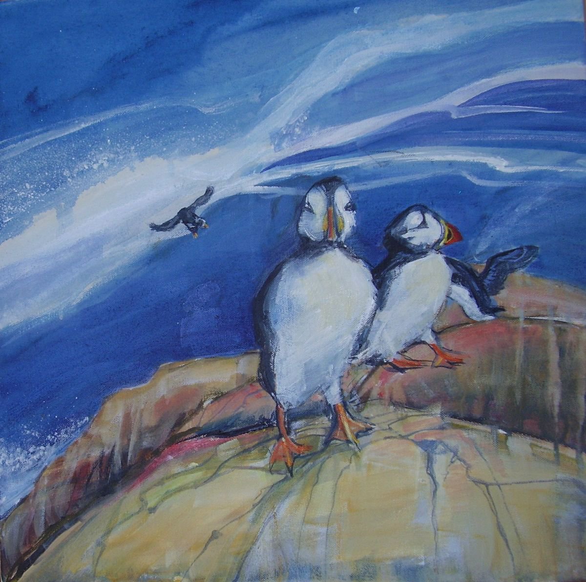Puffins at Bempton Cliffs, Yorkshire by Jean Luce
