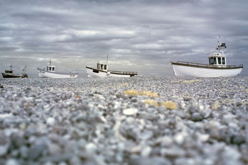 Fishing Boats #2, Dungeness by Ed Watts