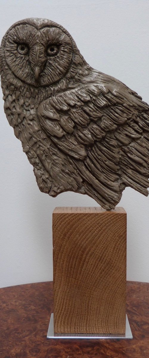 Barn Owl (fragment) by Kate Willows