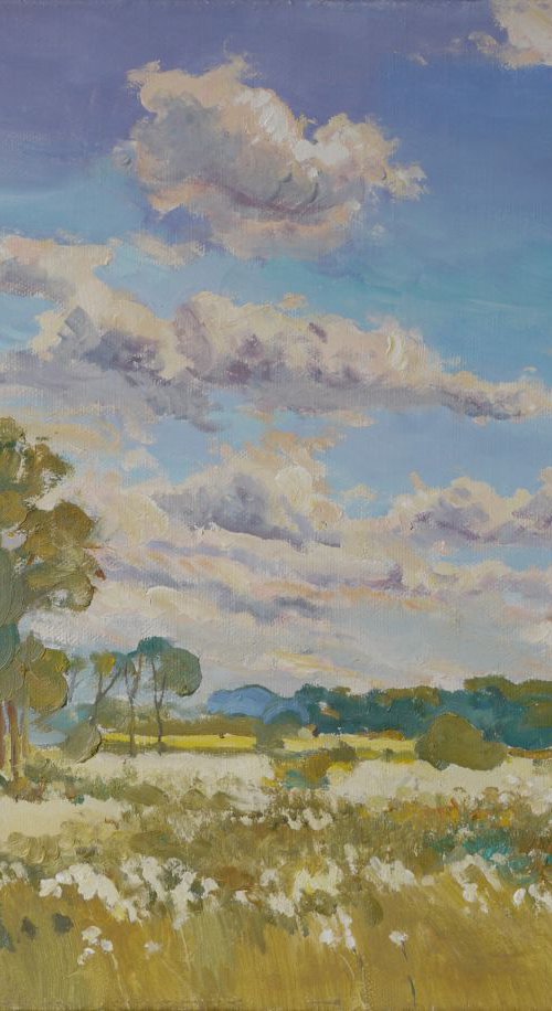 Beginning of Summer by Victor Onyshchenko