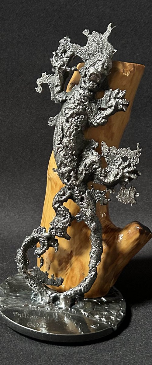 Salamander 67-25 by Philippe Buil