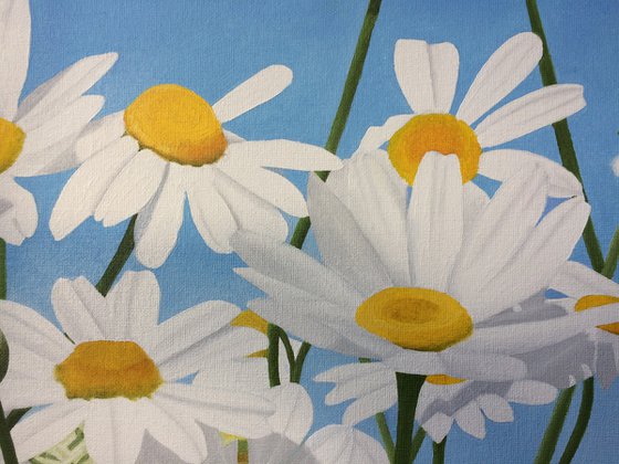 Daisies