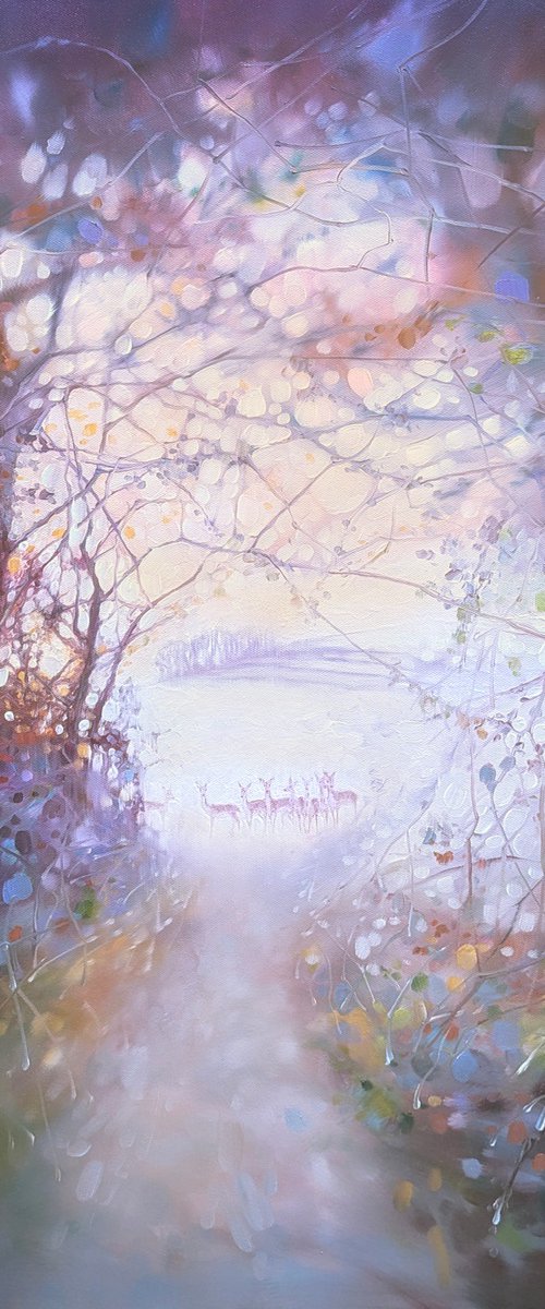 Out of the Woods by Gill Bustamante