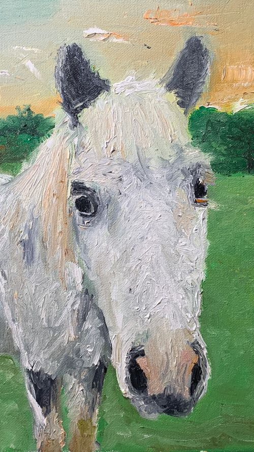 Horse by Ryan  Louder