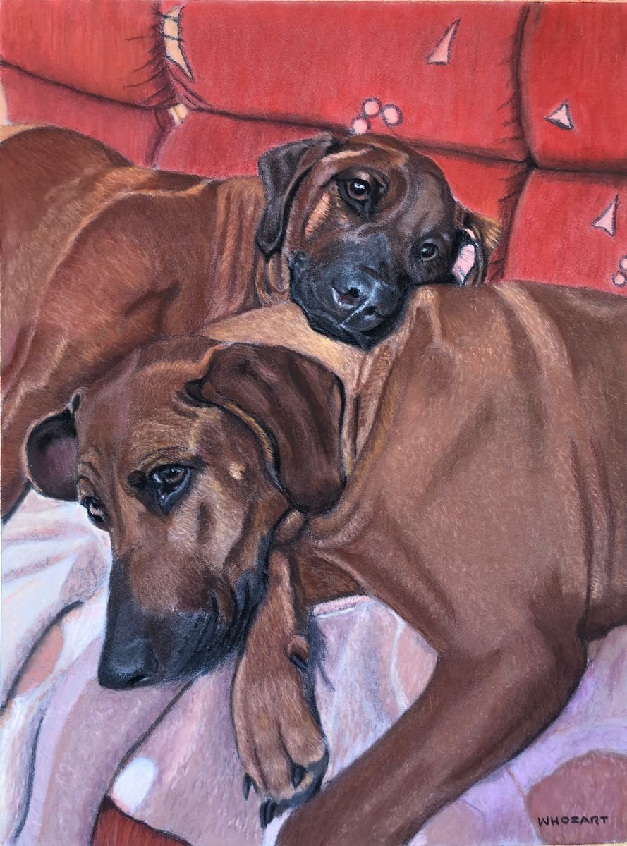 Photorealistic Animal Pastel Drawing By Gary Thomas, 12 X 16, Pet Portrait Commissions (A3), Original Artwork