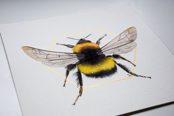 Bee Painting, Bumblebee Wall Art, Bee Original Watercolor Painting, Square Art