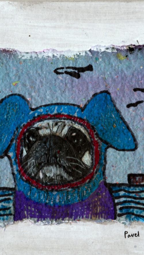 Cute pug by Pavel Kuragin