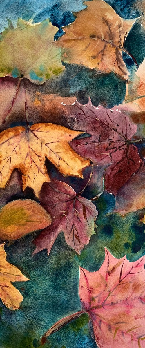 Leaves by Evgenia Panova