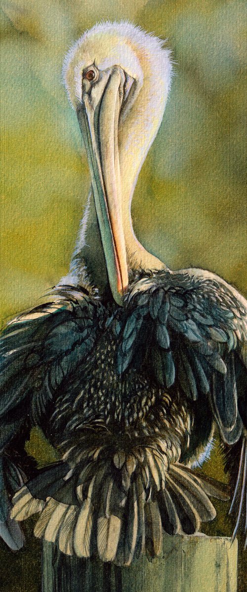 BIRD CCXXXIX - Pelican by REME Jr.