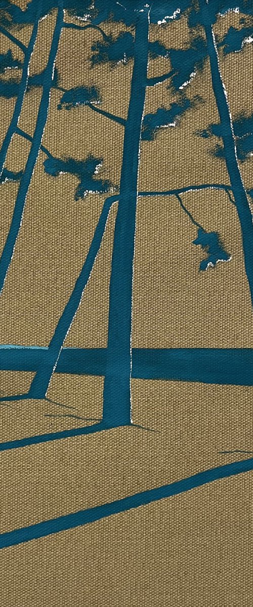 Californian blue Cap Coz by Cadiou Frederic