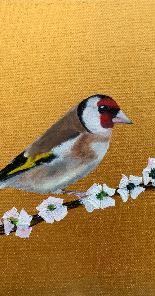 Golfinch ~ Framed by Laure Bury