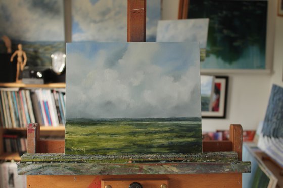 Near the lough, Irish Landscape