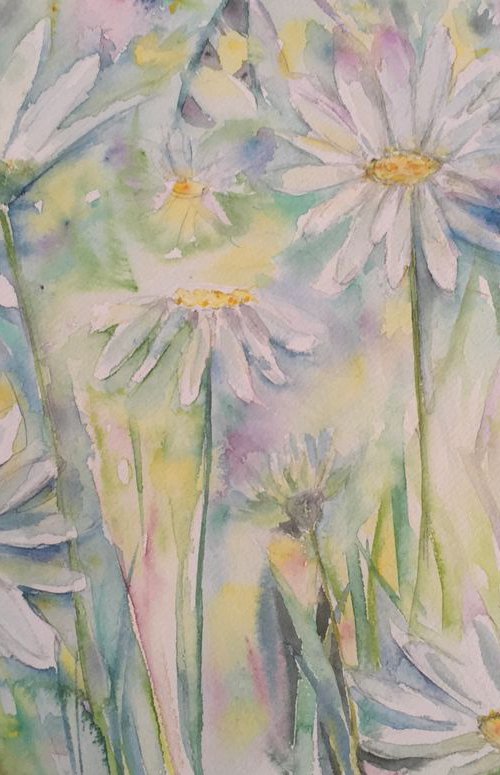 I’m loving daisies by Samantha Adams