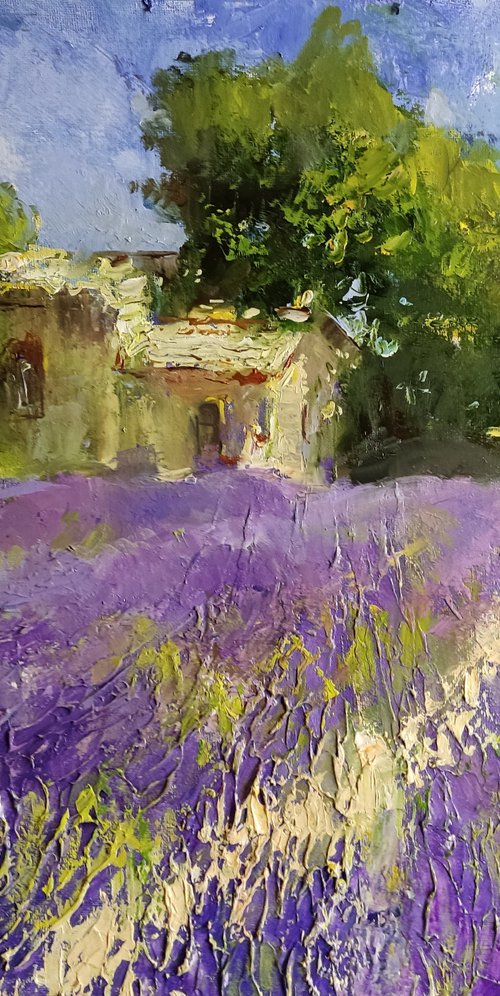 Lavendelfeld , Impasto , Palette Knife by HELINDA (Olga Müller)