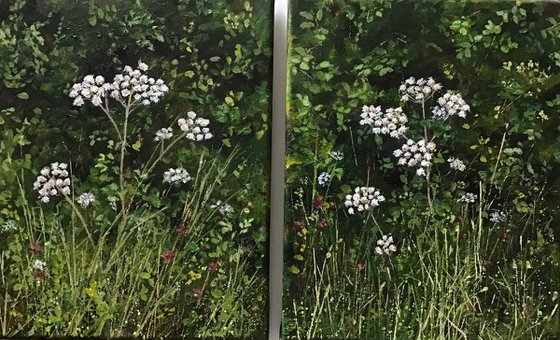 Devon Hedgerow